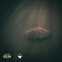 Subflower - Ocean