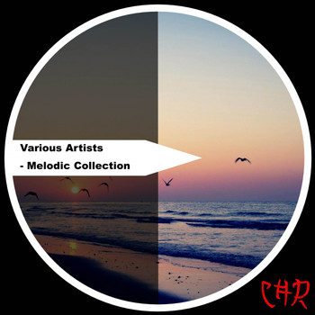 Various Artists - Melodic Collection