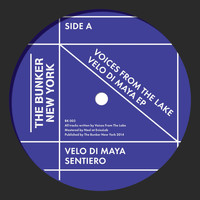 Voices from The Lake - Velo Di Maya