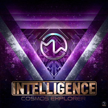 Intelligence - Cosmos Explorer