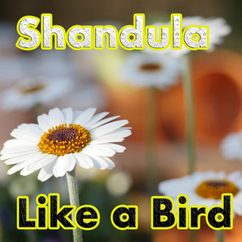Shandula - Like A Bird