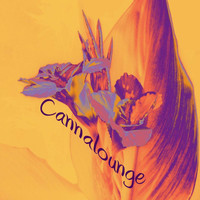 Canna - Cannalounge