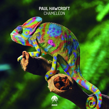 Paul Hawcroft - Chameleon