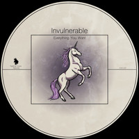 Invulnerable - Everything You Want