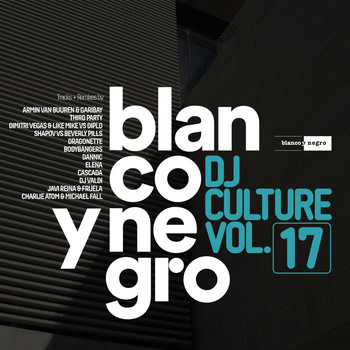 Various Artists - Blanco Y Negro DJ Culture, Vol. 17