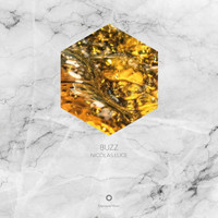 Nicolas Luce - Buzz