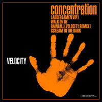 Velocity - Concentration EP