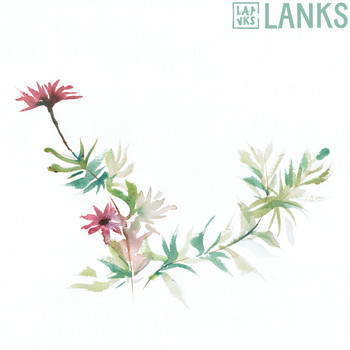 Lanks - Viet Rose
