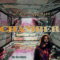David Robinson - Chamber