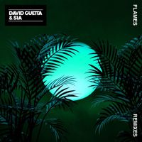 David Guetta & Sia - Flames (Remixes EP)
