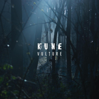 Kune - Vulture