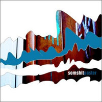 Somshit - Paster LP