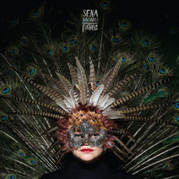 Sena Dagadu - Feathers