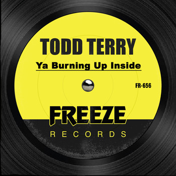 Todd Terry - Ya Burning up Inside