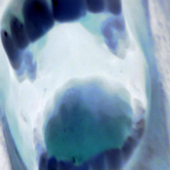 Dan Freeman - Do Your Own Thing