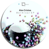 Alex Cristea - Bermisar