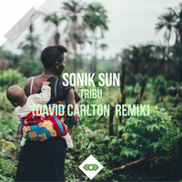 Sonik Sun - Tribu (David Carlton Remix)