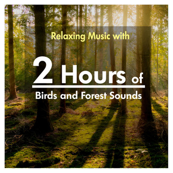 Various Artists - 2 Hours of Relaxing Music with Birds and Forest Sounds