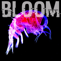 Bloom - There's Nothing Like A Good Time But This Is Nothing Like A Good Time