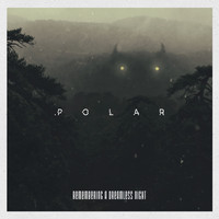 Polar - Remembering a Dreamless Night