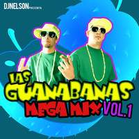 DJ Nelson - Las Guanabanas Mega Mix, Vol. 1