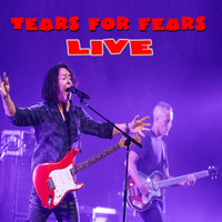 Tears For Fears - Live in Concert