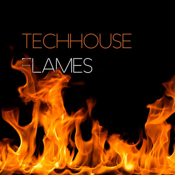 Various Artists - Techhouse Flames