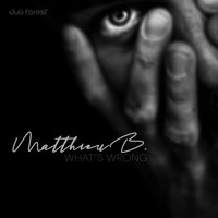 Matthieu B. - What's Wrong