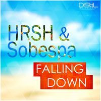 HRSH & Sobespa - Falling Down