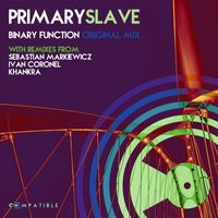 BinaryFunction - Primary Slave
