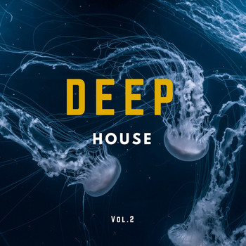 Various Artists - Deep House Music Compilation, Vol. 2