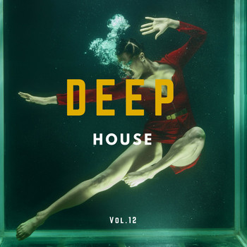 Various Artists - Deep House Music Compilation, Vol. 12