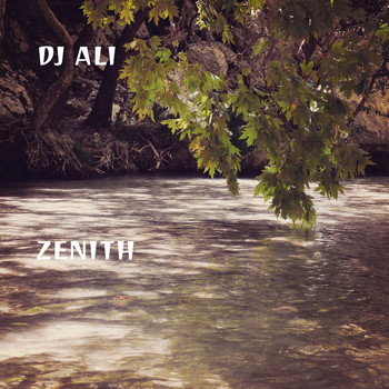 DJ ALI - Zenith
