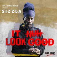 Sizzla - It Nuh Look Good - Single