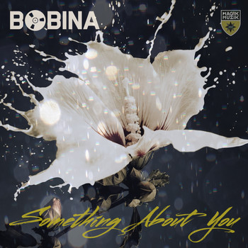Bobina - Something About You