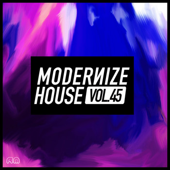 Various Artists - Modernize House, Vol. 45
