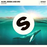 Alok, Zeeba and IRO - Ocean