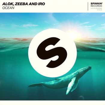 Alok, Zeeba and IRO - Ocean