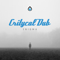 Critycal Dub - Enigma Ep