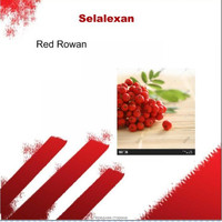 Selalexan - Red Rowan