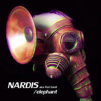 Nardis - Elephant