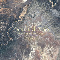 Soul Of Zoo - Walking in the Forest