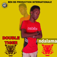 Double Tiger - Ndalama