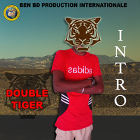 Double Tiger - Intro