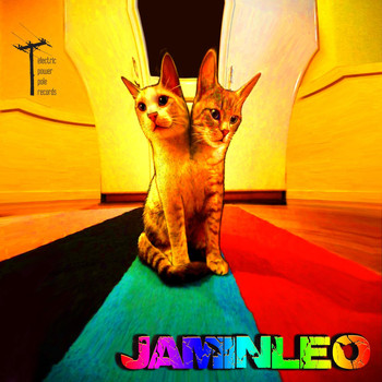 Various Artists - Jaminleo