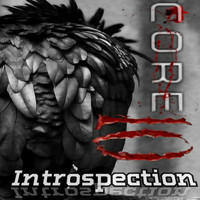 Core 10 - Introspection