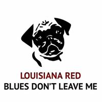 Louisiana Red - Blues Don't Leave Me
