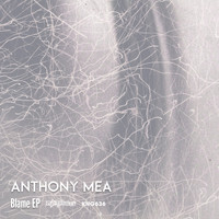 Anthony Mea - Blame