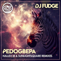 DJ Fudge - Pedogbepa (Hallex M & Sunlightsquare Remixes)