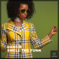 DanSir - Smell the Funk